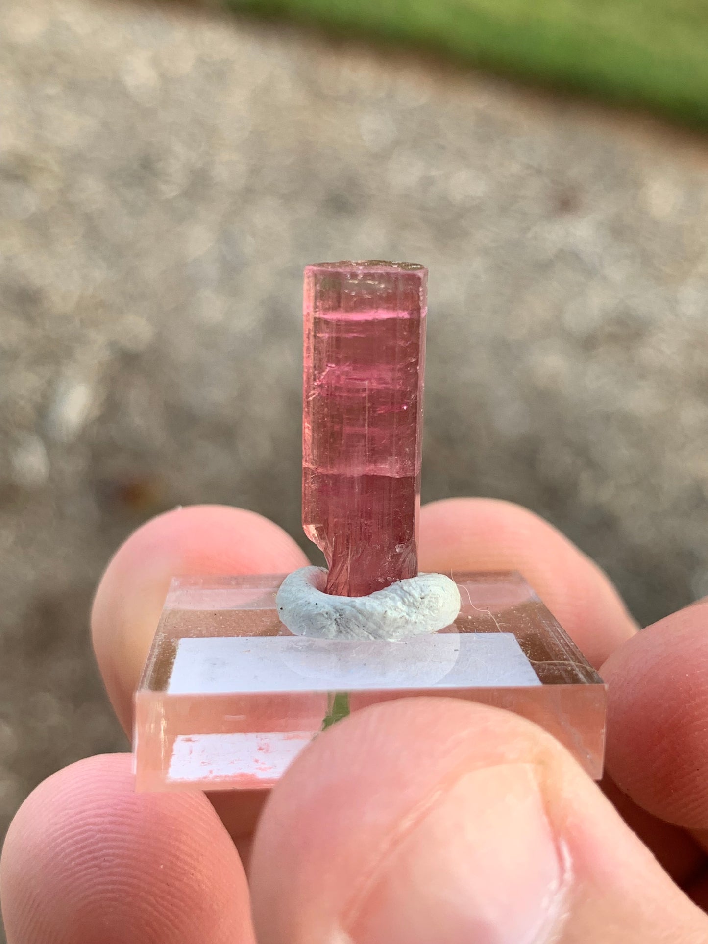 Barra de Salinas Brazillian Tourmaline Mineral Specimen