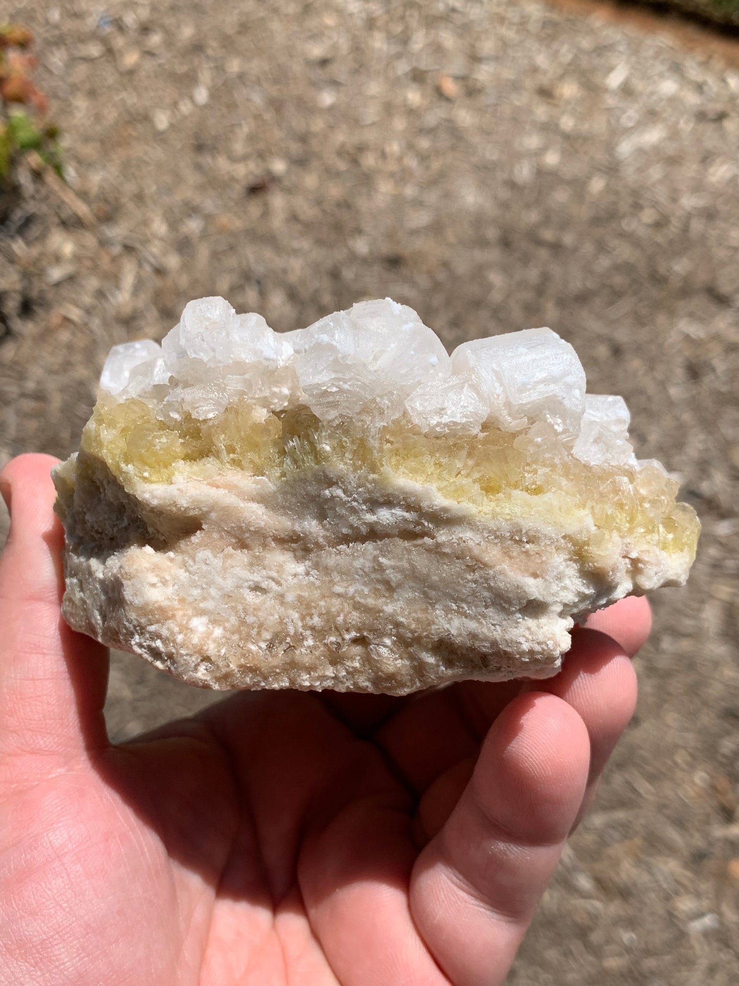 Halite Salt Crystal Cluster Searles Lake California USA Mineral Specimen