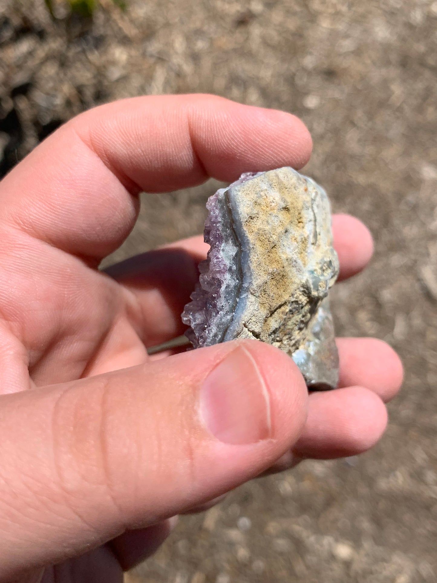 Amethyst Cluster Brazil Mineral Specimen