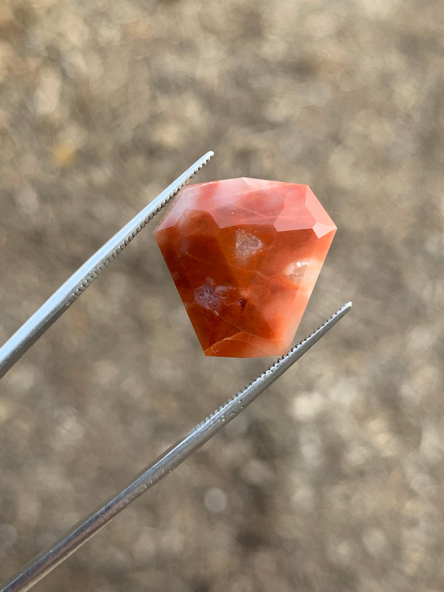 Gemstone Faceted Petrified Wood Arizona USA