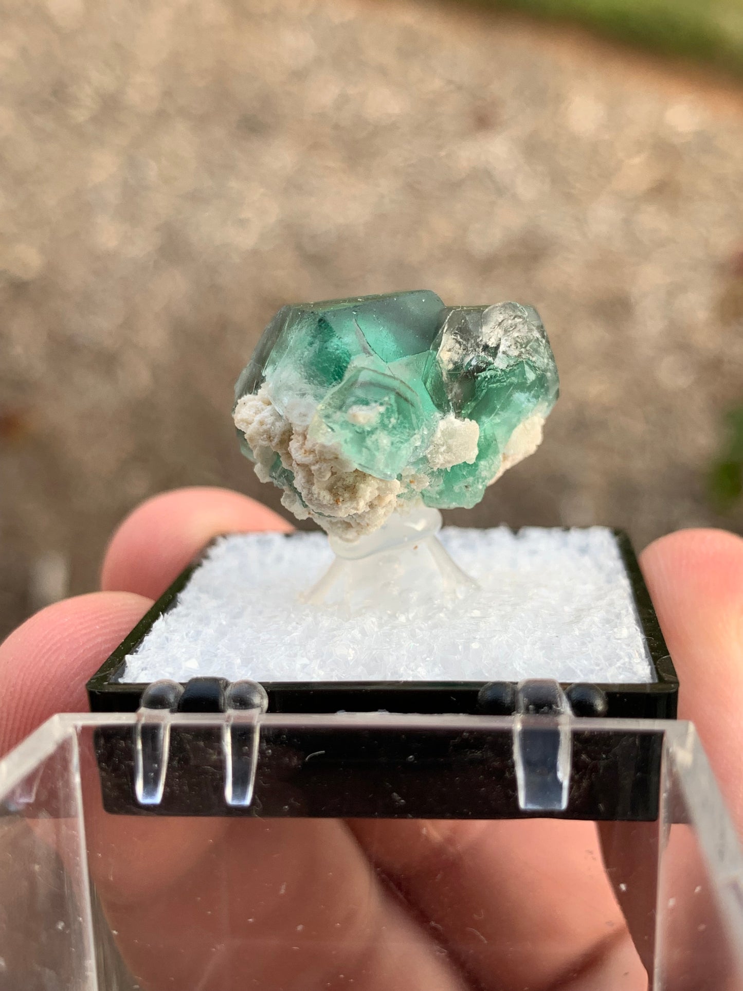 2020 Alien Eye Fluorite Thumbnail Erongo Namibia Mineral Specimen