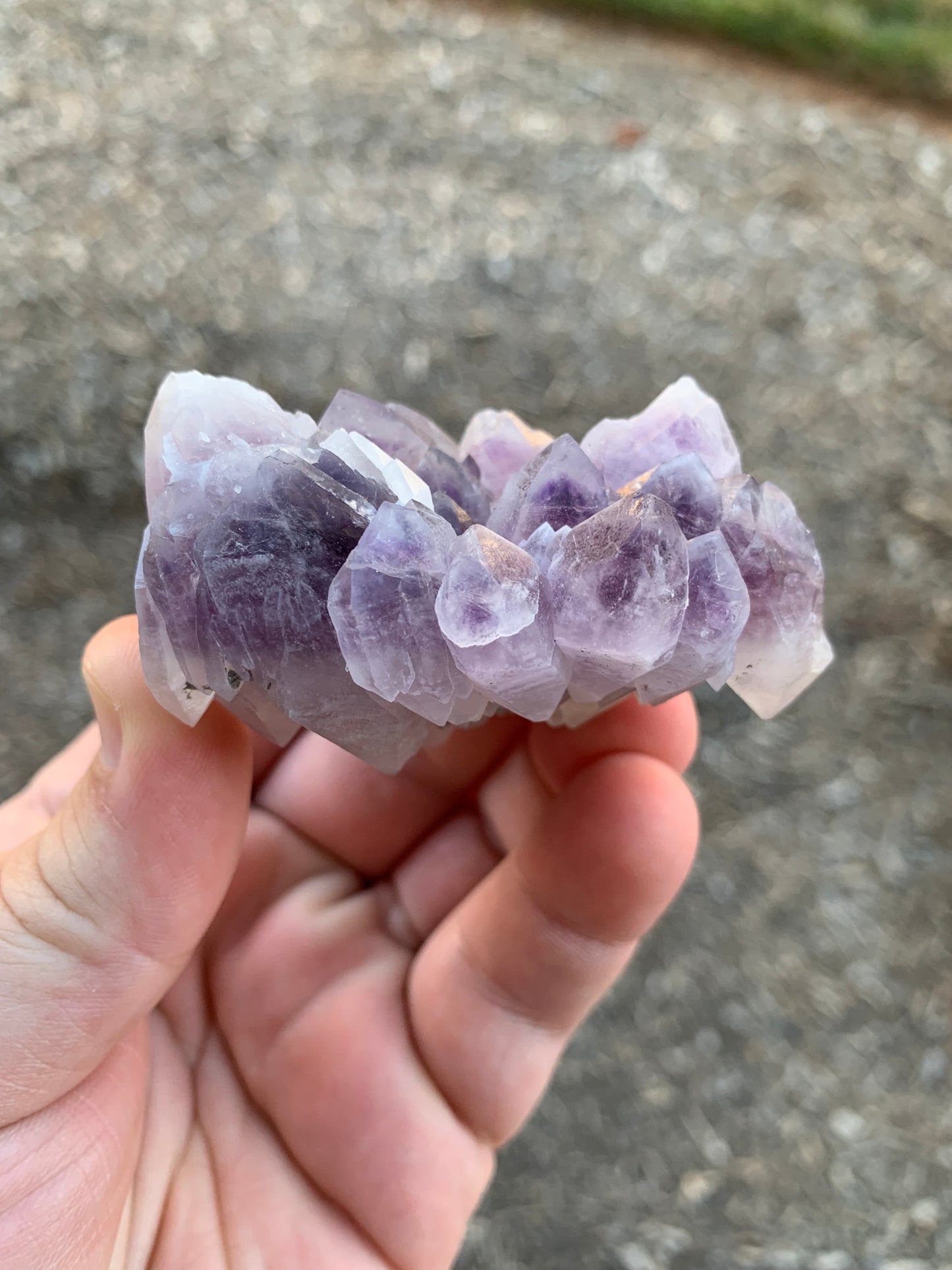 Guerrero Amethyst Cluster Mexico Mineral Specimen