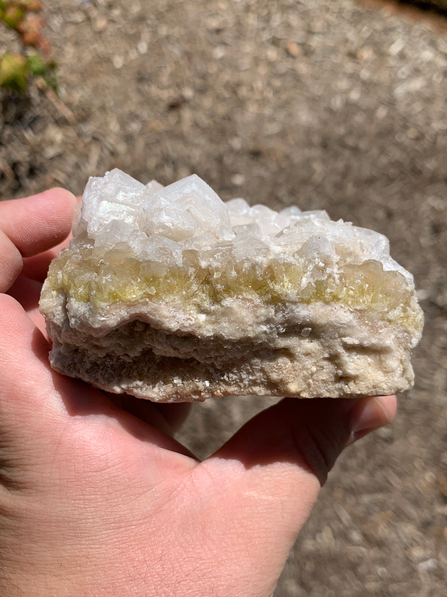 Halite Salt Crystal Cluster Searles Lake California USA Mineral Specimen