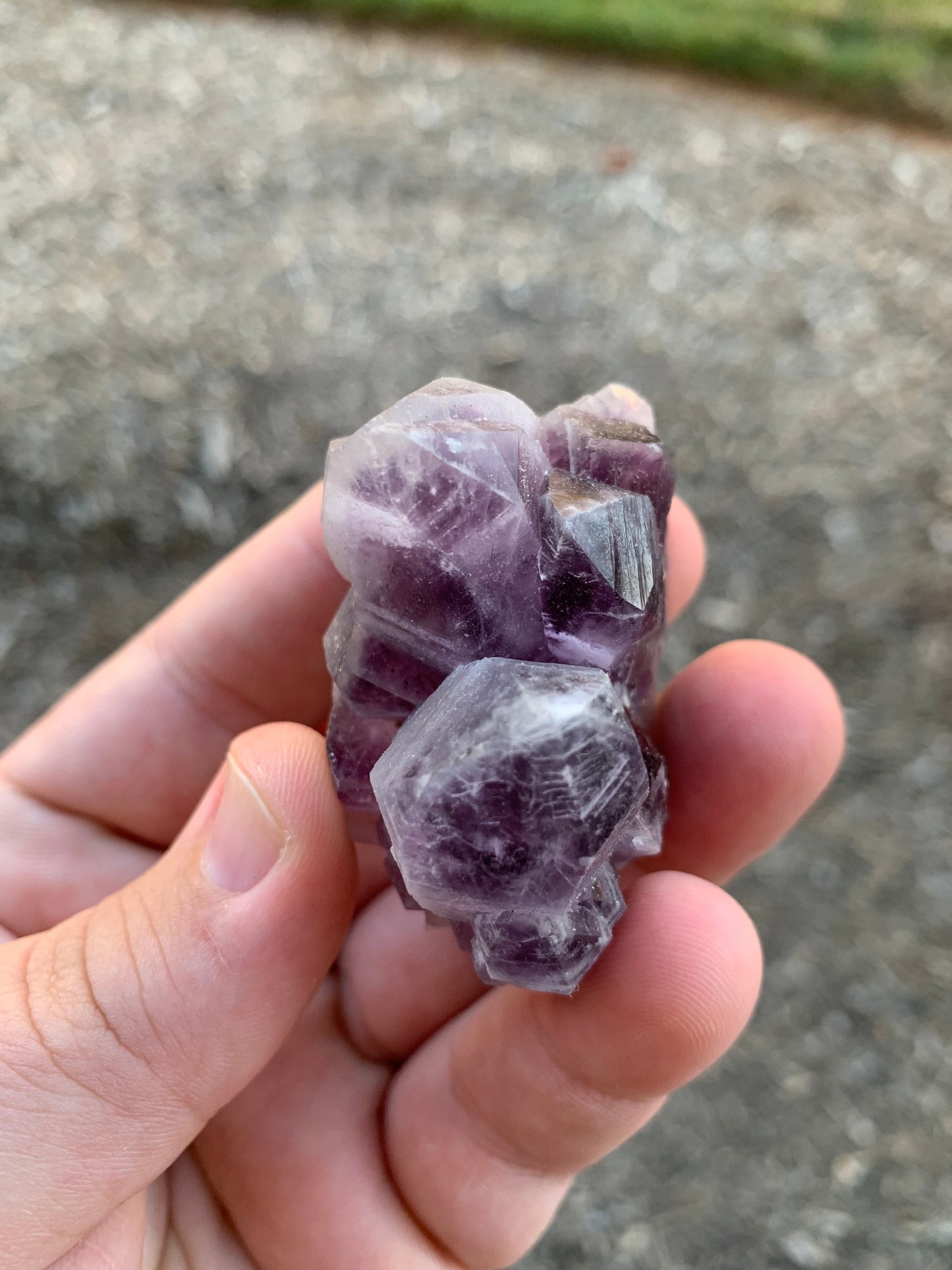 Guerrero Amethyst Cluster Mexico Mineral Specimen