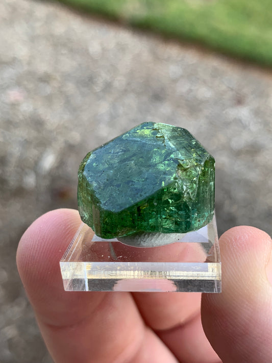 Congo Tourmaline Mineral Specimen