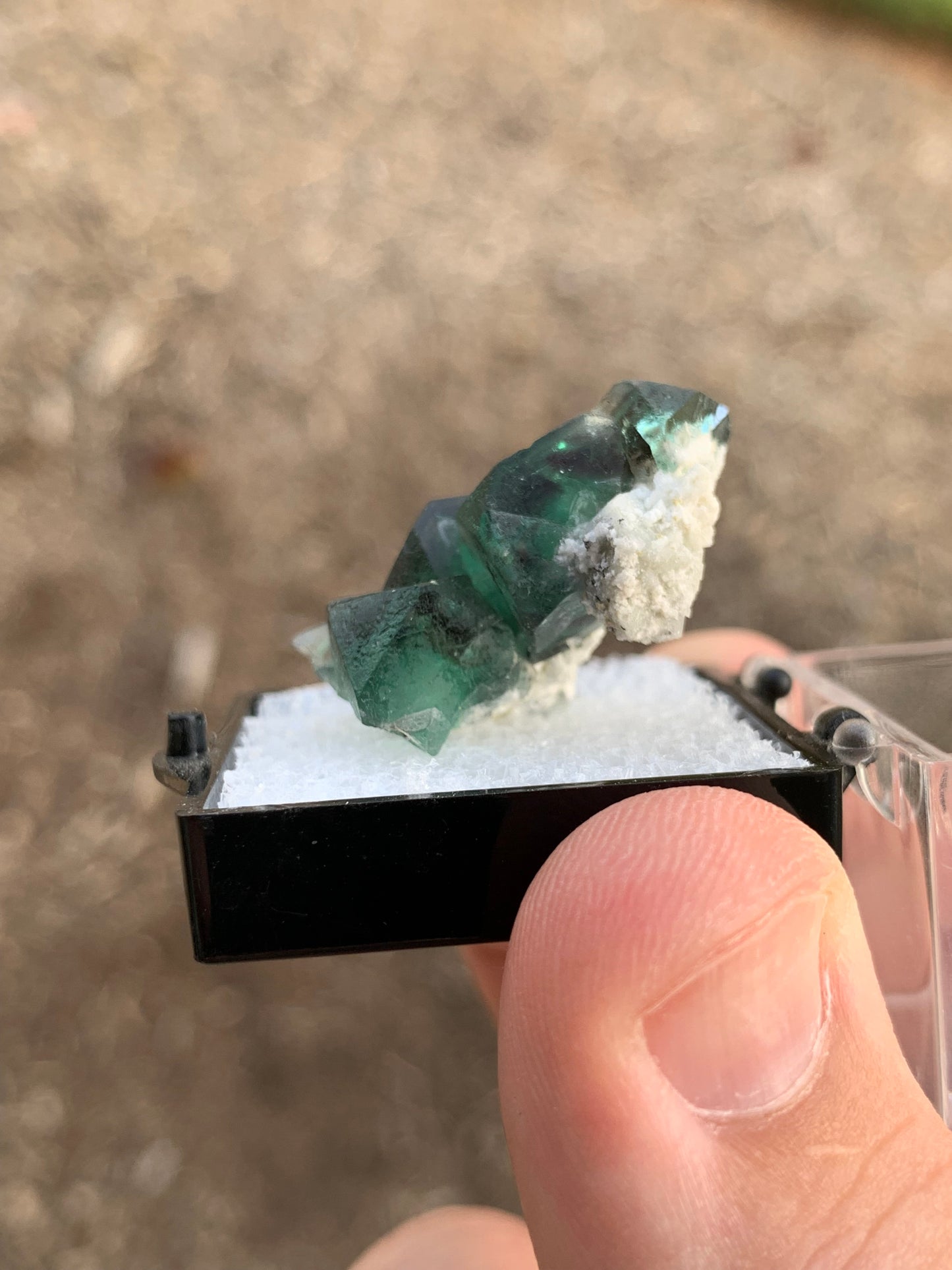 2020 Alien Eye Fluorite Thumbnail Erongo Namibia Mineral Specimen