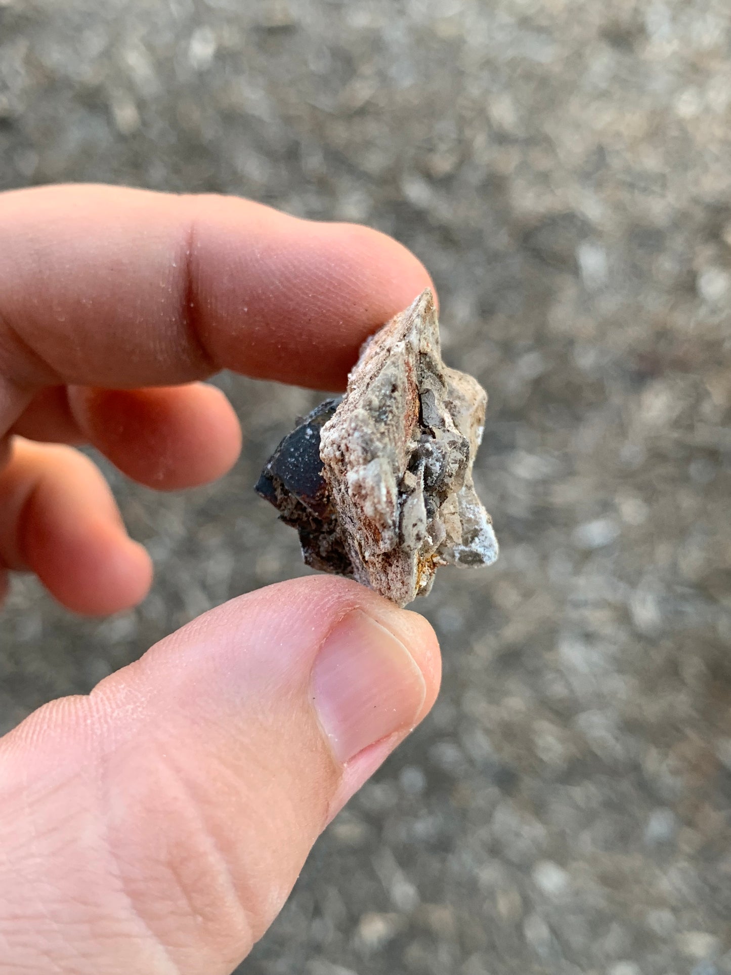 Glauberite Crystal California USA Mineral Specimen