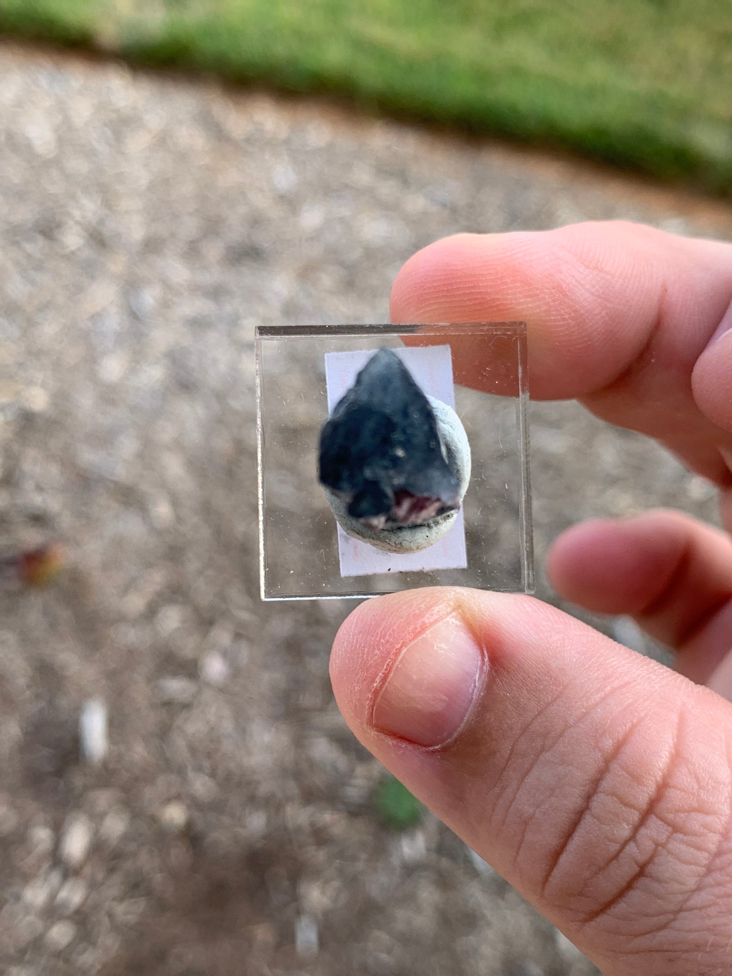 Azul Bien Pocket Brazillian Tourmaline Mineral Specimen