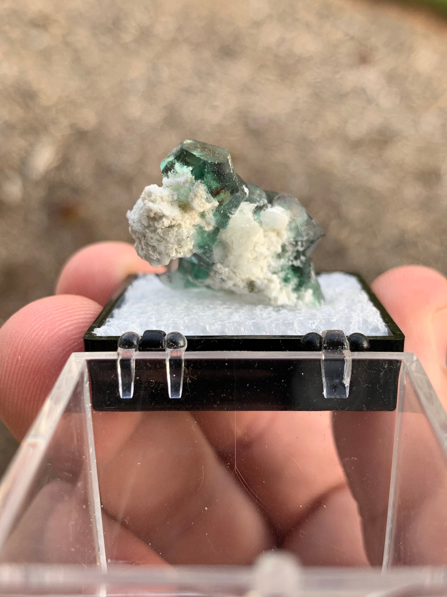 2020 Alien Eye Fluorite Thumbnail Erongo Namibia Mineral Specimen