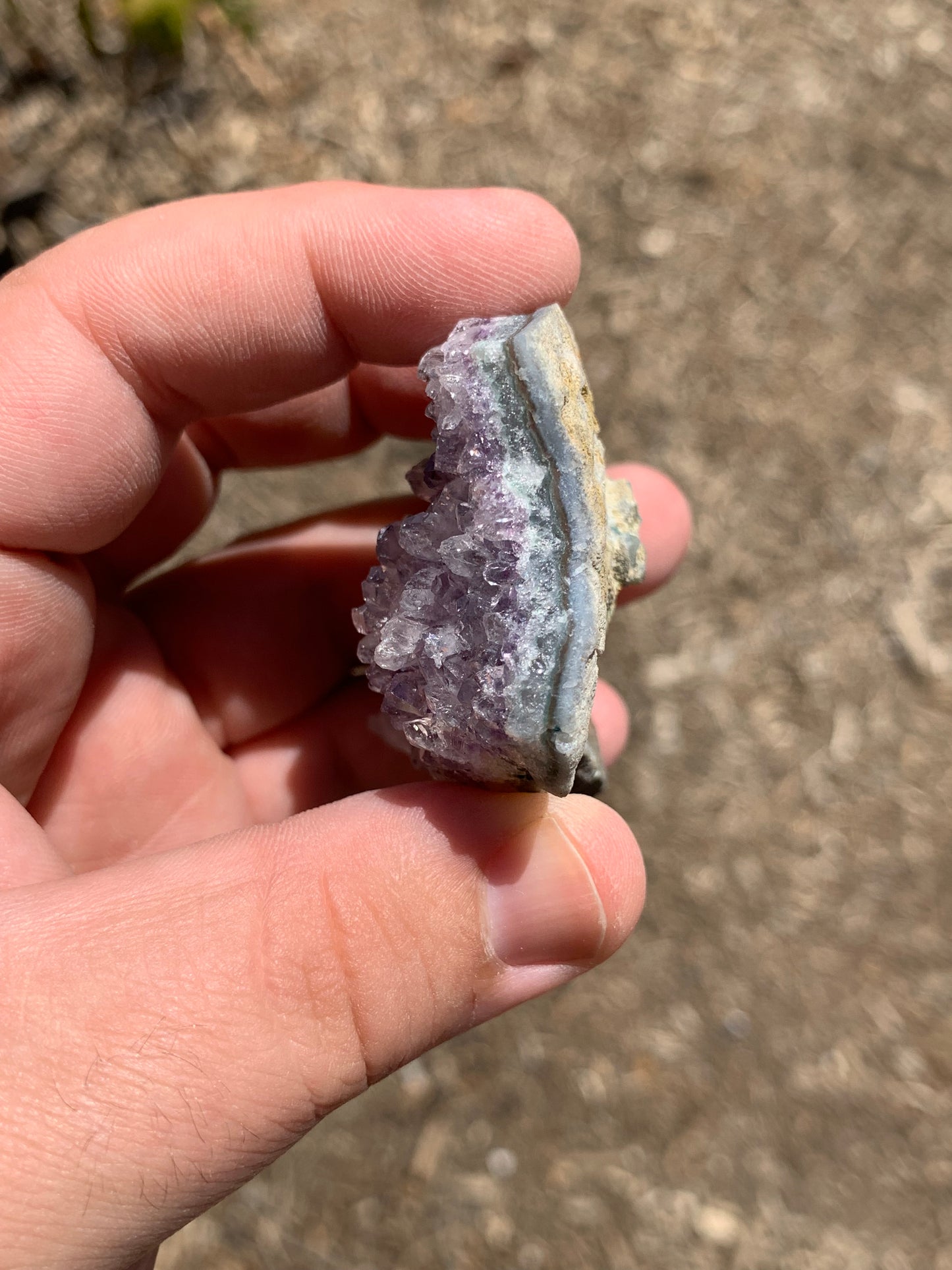 Amethyst Cluster Brazil Mineral Specimen