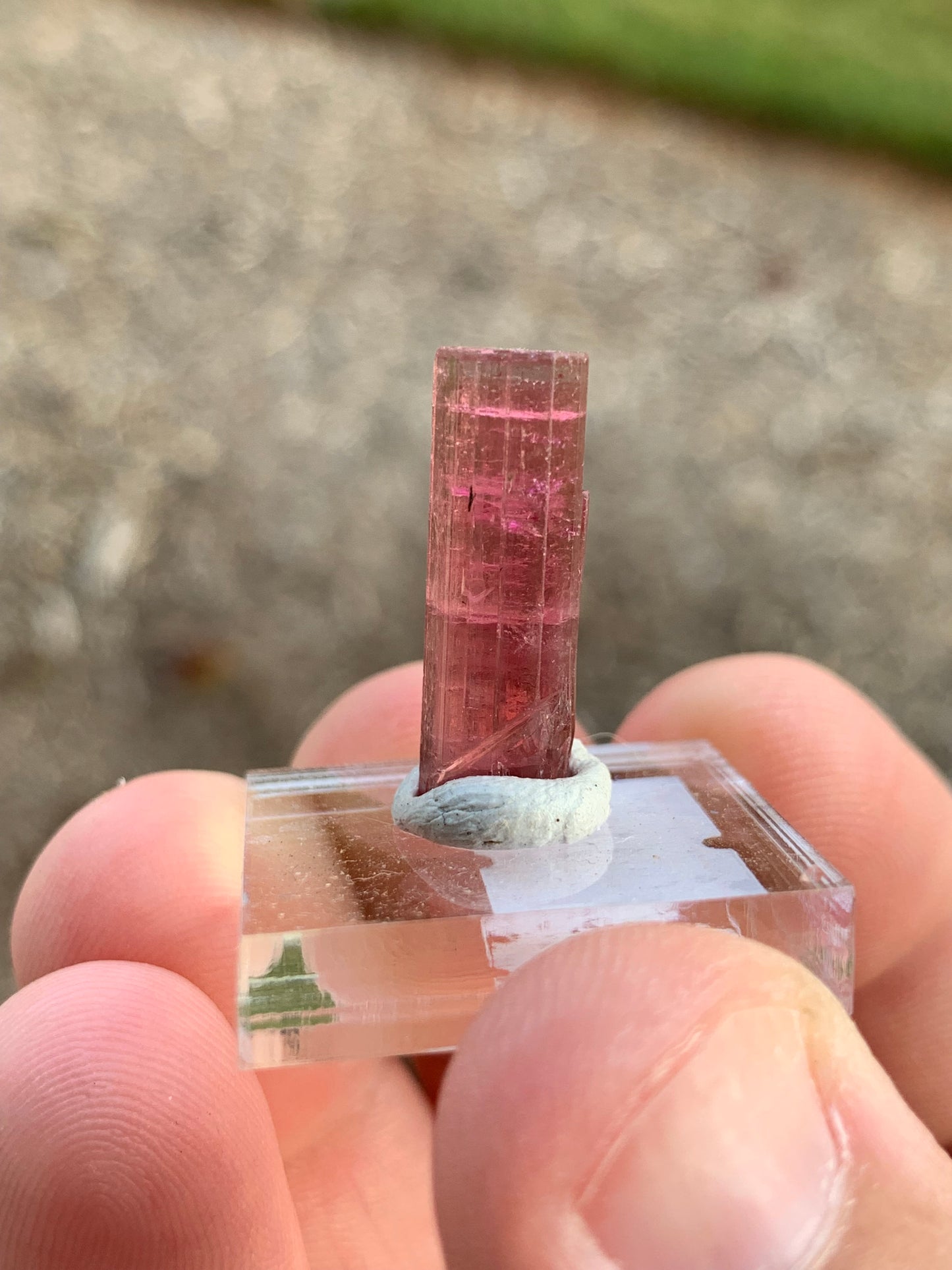 Barra de Salinas Brazillian Tourmaline Mineral Specimen