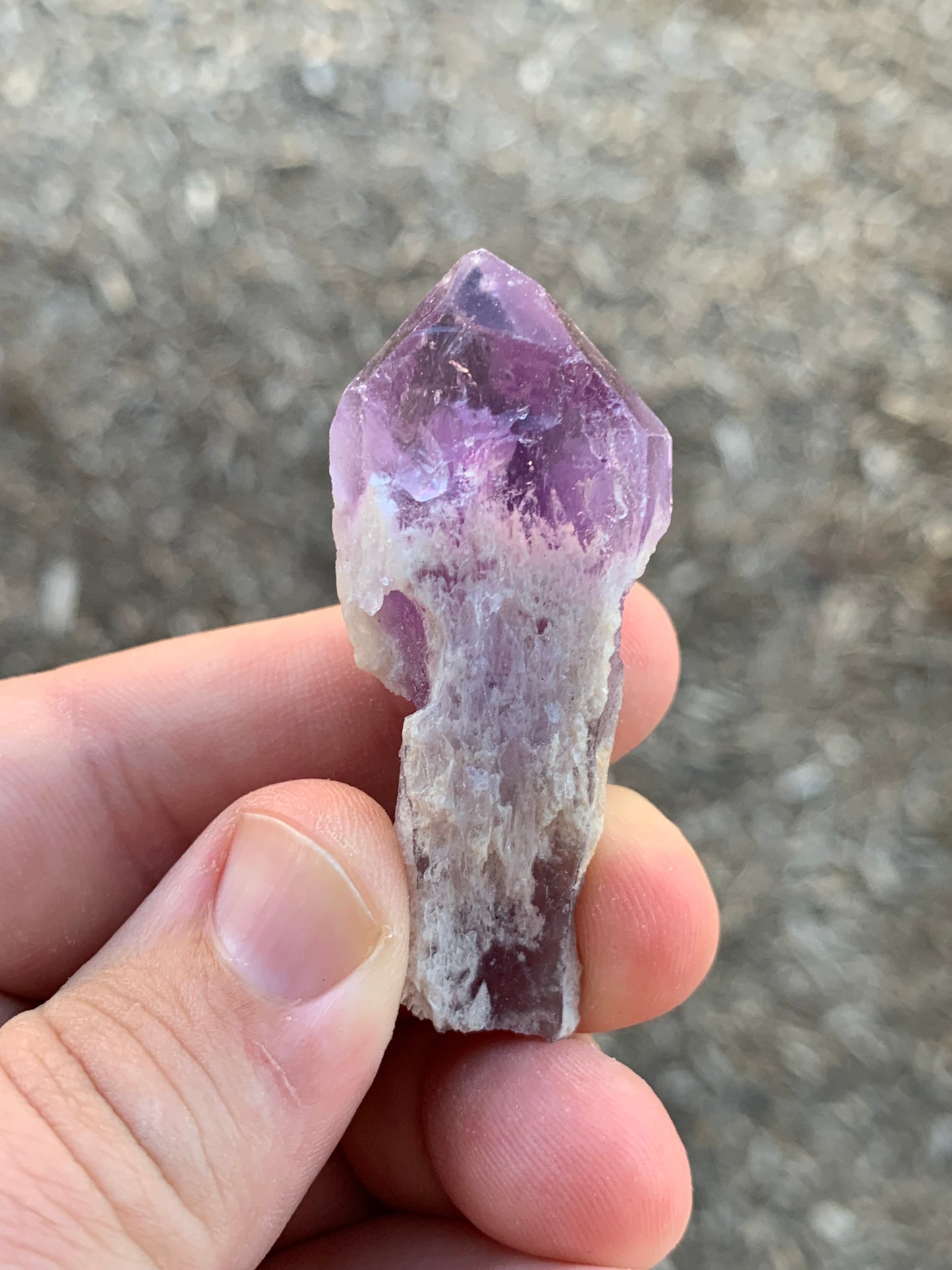 Bahia Baby Dragon Teeth Amethyst Brazil Mineral Specimen